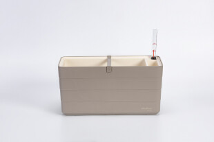 Berberis 40 19097440 - Taupe beige