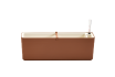 Berberis 60 19097460 - Terracotta beige