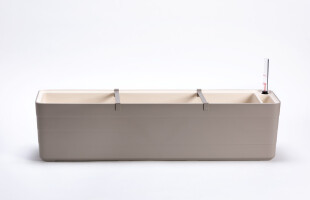 Berberis 80 19097480 - Taupe beige