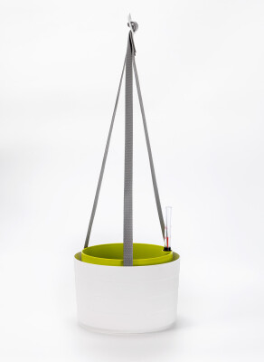 Berberis hangpot 26 + 29 cm 180877 - Wit groen