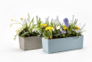 Berberis 60 19097460 - Sfeerbeeld