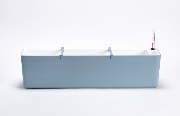 Berberis 80 19097480 - Blauw wit