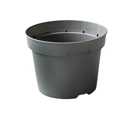 PBNM105