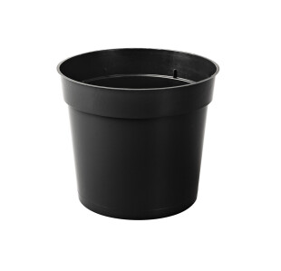 PAB12