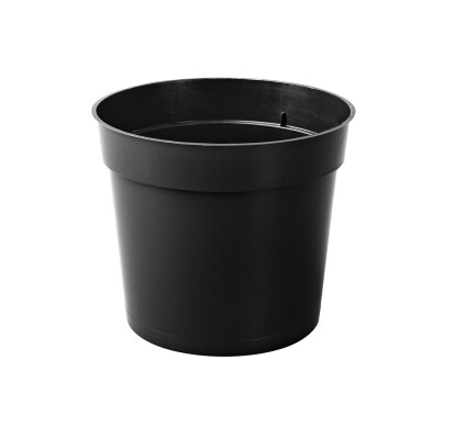 PAB12