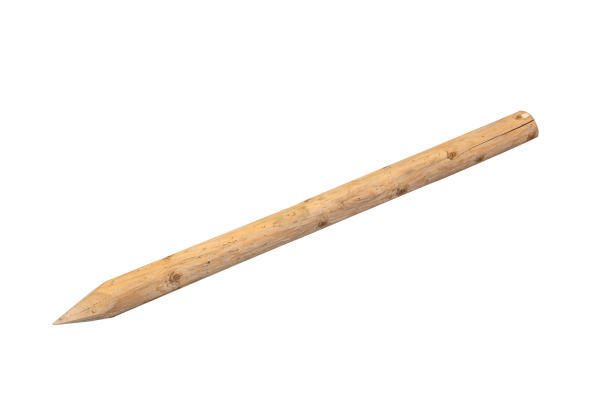VTH_Z6F7944_paal0_HR_257.png